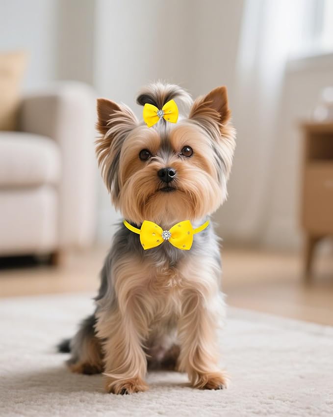 PET SHOW 60 Pack 20 Set Small Dog Hair Bows with Rubber Bands and Bowties for Dogs Boys and Girls Adjustable Pet Collar Bow Ties Hair Grooming Accessories Assorted