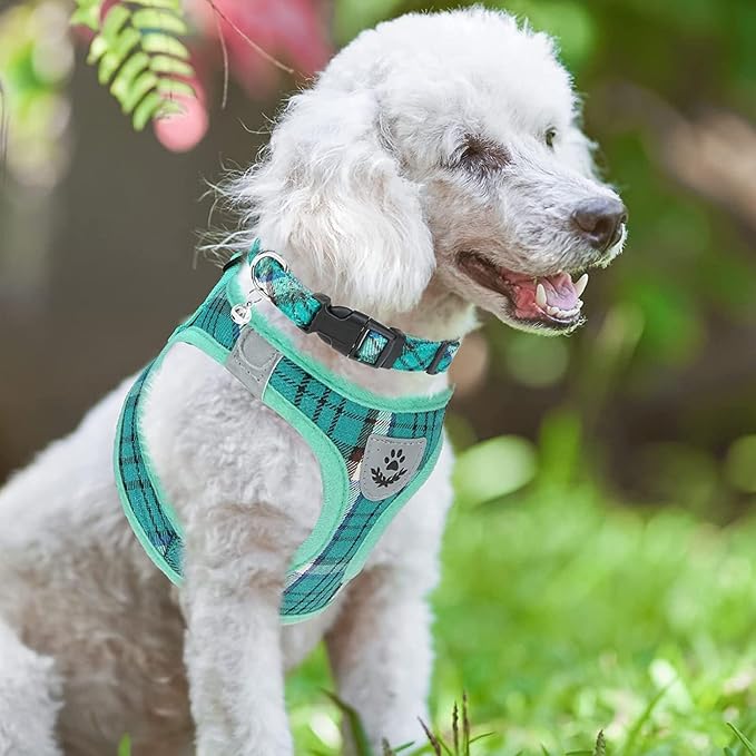 PUPTECK Adjustable Dog Harness Collar and Leash Set Step in No Pull Pet Harness for Small Medium Dogs Puppy and Cats Outdoor Walking Running, Soft Mesh Padded Reflective Vest Harnesses, Lake Green XXS