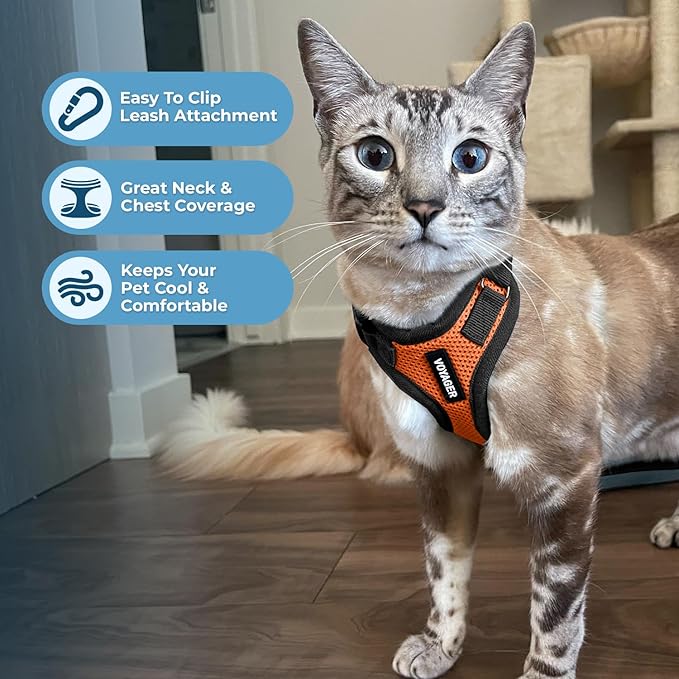 Voyager Step-in Lock Adjustable Cat Harness w. Cat Leash Combo Set with Neoprene Handle 5ft - Supports Small, Medium and Large Breed Cats by Best Pet Supplies - Orange/Black Trim, XS