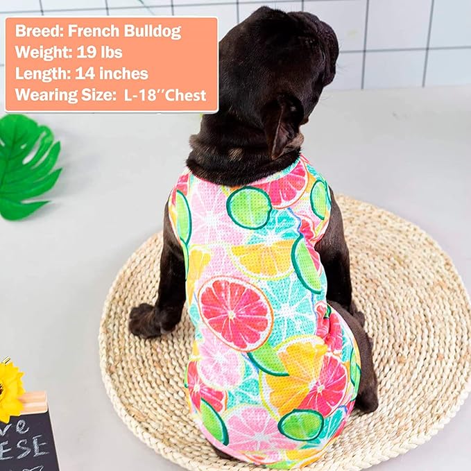 KYEESE 2 Pack Dog Shirts Quick Dry Lightweight Dog T-Shirts with Reflective Label Tank Top Sleeveless Vest Cat Shirts for Summer Lemon Pattern Sun-Blocking,Small,Lemon+Pink