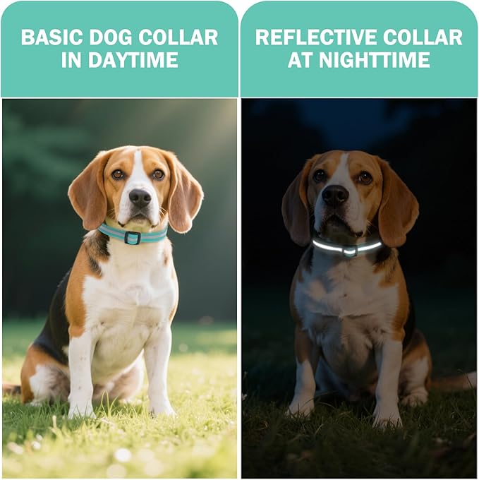 Waterproof Dog Collar, Soft Rubber with Safety Buckle - Adjustable Dog Collars for Large Small Medium Dogs Puppy, Heavy Duty Odor-Resistant Reflective Pet Collar, Aqua Blue M