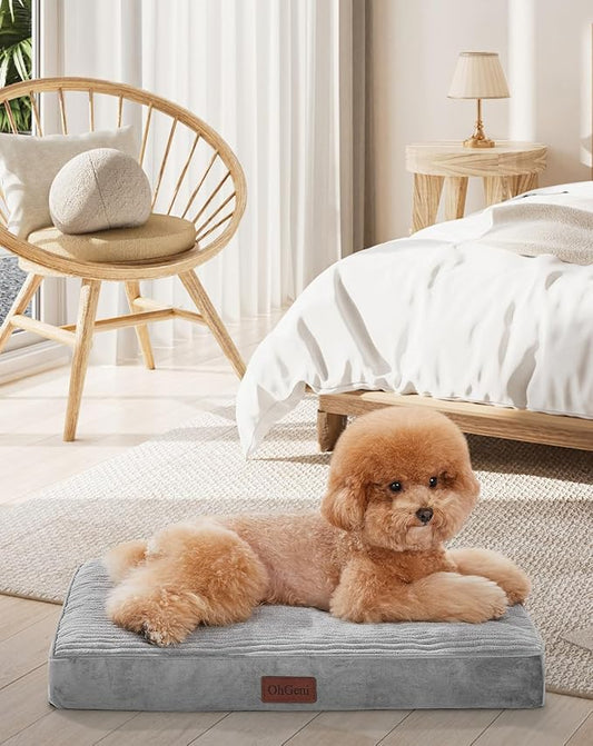 OhGeni Orthopedic Waterproof & Machine Washable Dog Bed for Small Pets, Suitable for Crates, 25D Egg Crate Foam, Non-Slip Bottom & Removable Cover, Invisible Zipper, 24 Inches(Gray)