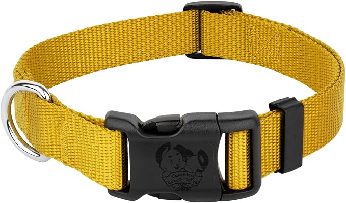 Country Brook Petz - American-Made Dog Collar for Large, Medium, and Small Dogs and Puppies - Deluxe Heavy Duty Nylon in 33 Dazzling Colors (Extra Large, 1 Inch Wide, Gold)