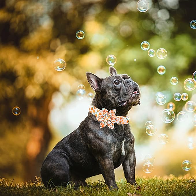 Elegant little tail Dog Collar, Dog Collar with Flower, Peach Cute Pink Pet Collar Flower Dog Collars Adjustable Dog Collar for Large Dogs