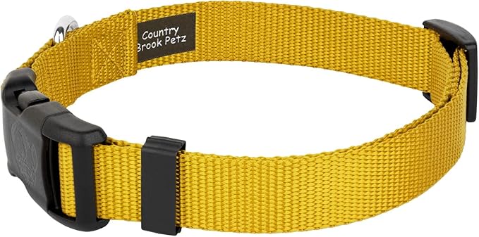 Country Brook Petz - American-Made Dog Collar for Large, Medium, and Small Dogs and Puppies - Deluxe Heavy Duty Nylon in 33 Dazzling Colors (Extra Large, 1 Inch Wide, Gold)