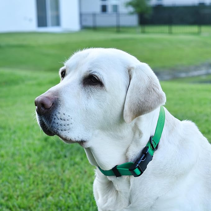 Dogline Biothane Waterproof Dog Collar with Quick Release Buckle Strong Coated Nylon Webbing with Odor- Proof for Easy Care Easy to Clean Fits Small Medium or Large Dogs, Teal 1" W 15-23" L