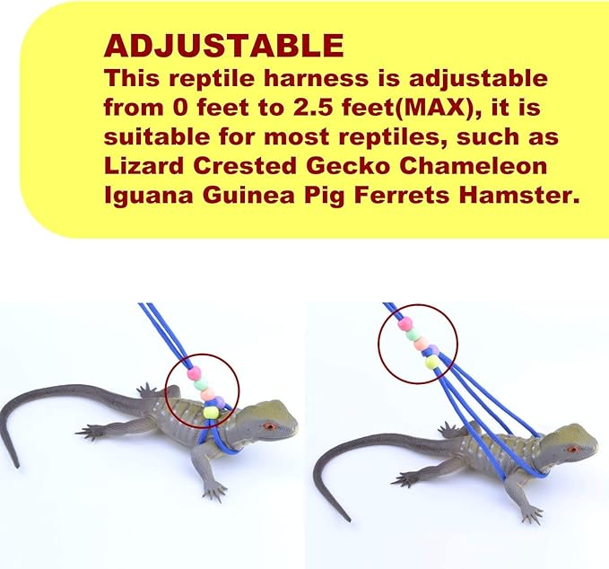 Adjustable Reptile Training Lead Harness Leash Nylon Rope for Lizard Crested Gecko Chameleon Guinea Pig Ferrets Hamster Rats (Blue)