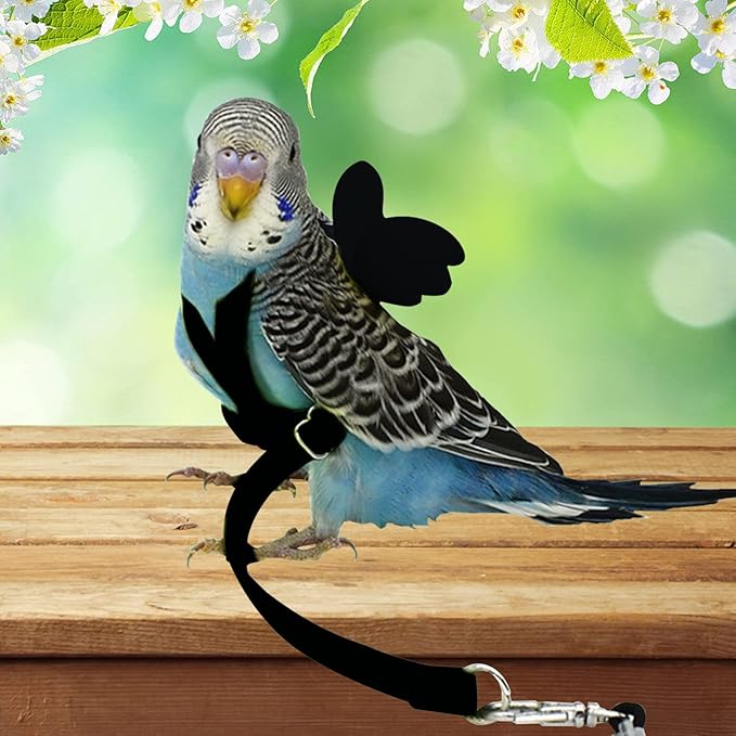 Budgerigar Harness and Leash, Adjustable Parrot Bird Training Design Anti-Bite, Bird Nylon Rope with Cute Wing for Budgerigar and Same Size Birds (S, Black)
