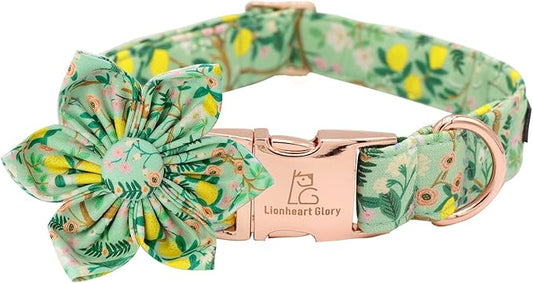 Lionheart Glory Cute Lemon Floral Pattern Adjustable Dog Collar for Medium Dogs