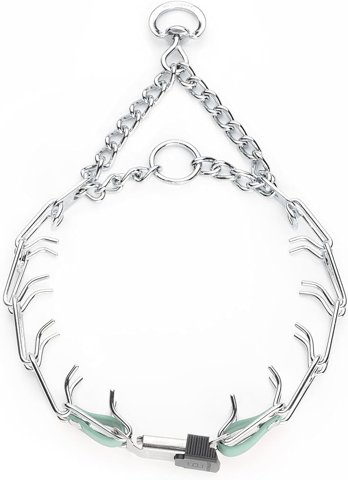 Herm Sprenger Chrome Plated Steel Dog Collar with Quick Release ClicLock Buckle and Biothane Insert Training Collar for Dogs Made in Germany (Sage Green, 23in x 3.2mm(Neck Size up to19-20in))