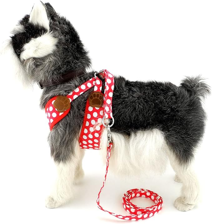 SMALLLEE_LUCKY_STORE CWYP00068-Red-S New Soft Mesh Nylon Vest Pet Cat Small Medium Dog Harness Dog Leash Set Leads ,Red , S