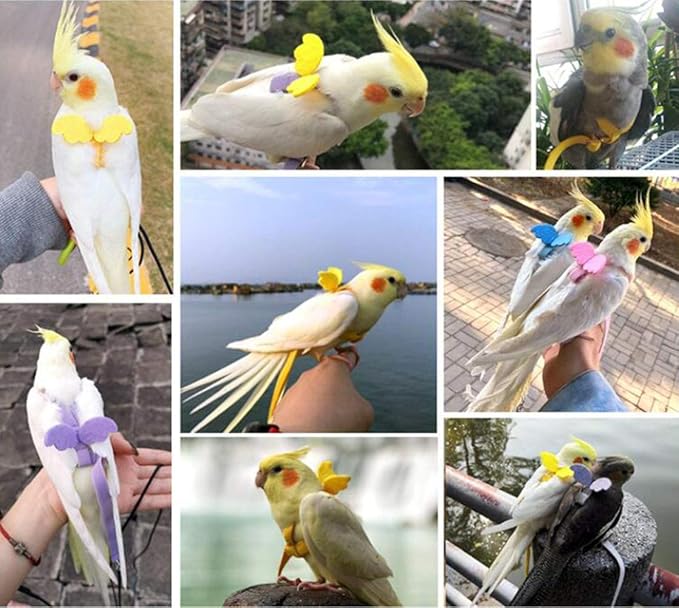 Adjustable Bird Harness Leash Parrot Flying Rope Straps Outdoor Training Traction Rope for Small Parrots , Random Color