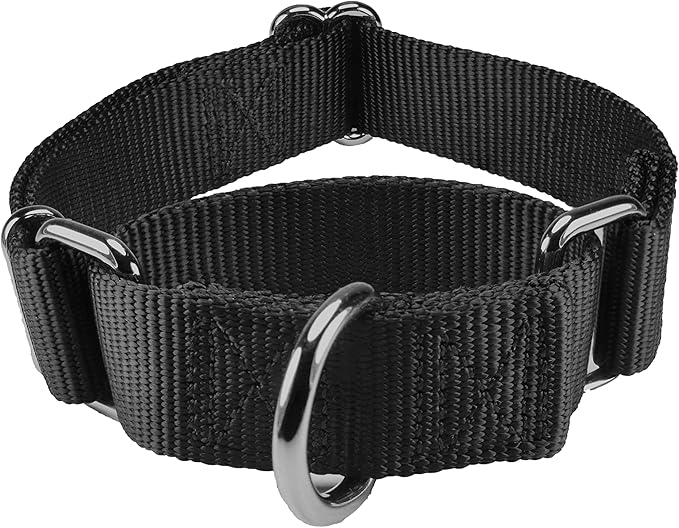 Mikivery Martingale Dog Collar Nylon Adjustable and Safety Training Colourful Comfortable Metal Buckle Pet Collars for Small Medium and Large Dogs(Black,L)