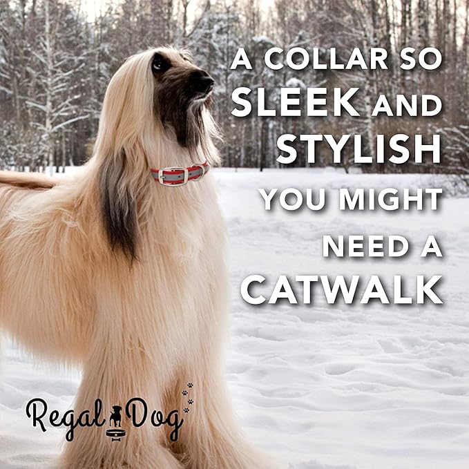 Regal Dog Products Small Yellow Heavy Duty Reflective Dog Collar with Durable Metal Buckle and D Ring Adjustable, Chew Proof & Waterproof Strong Small Dog Collar Other Sizes for Medium & Large Dogs