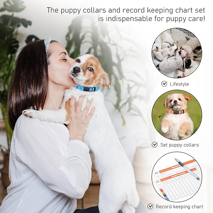 GAMUDA Soft Nylon Puppy and Pup Collars, Adjustable Breakaway Litter Collars, Plain Whelping & ID with Charts - Assorted Colors, Set of 12 (M)