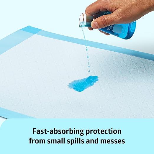 Medline Light Absorbency Underpad, 17" x 24", 300 Count, Disposable Chucks, Bed, Furniture & Surface Protection, For Kids, Adults, Elderly, Puppy Pad, Changing Pad, Incontinence Pee Pad