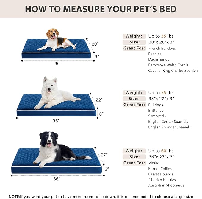 WNPETHOME Orthopedic Dog Beds for Medium Dogs, LargeDog Bed with Removable Washable Cover & Anti-Slip Bottom, Multi-Needle Quilting XL Pet Bed (Blue), L (36x27x3)