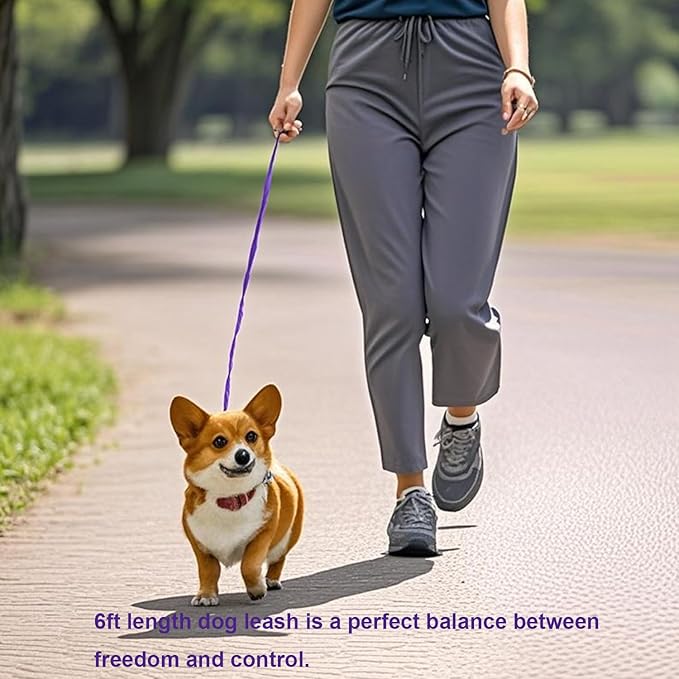 6 FT Puppy Leashes, Strong Traditional Style Leash with Easy to Use Collar Hook,Dog Lead Great for Small and Medium and Large Dog (Purple, 5/8 in x 6 ft)