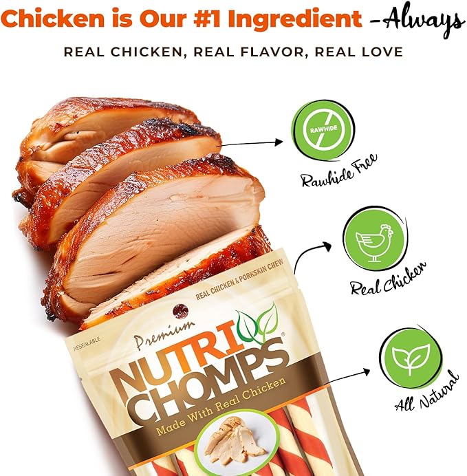 NutriChomps Dog Chews 5-inch Twists, Easy to Digest, Rawhide-Free Dog Treats, Real Peanut Butter Flavor & Real Chicken Flavor (NT112V) - 10 Count (Pack of 2)