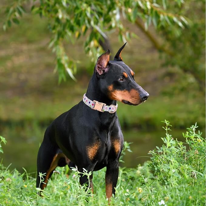 Metal Buckle Dog Collar, Durable Adjustable Dog Collar Soft for Small Medium Large Dogs (Purple Point, S(10-14in)