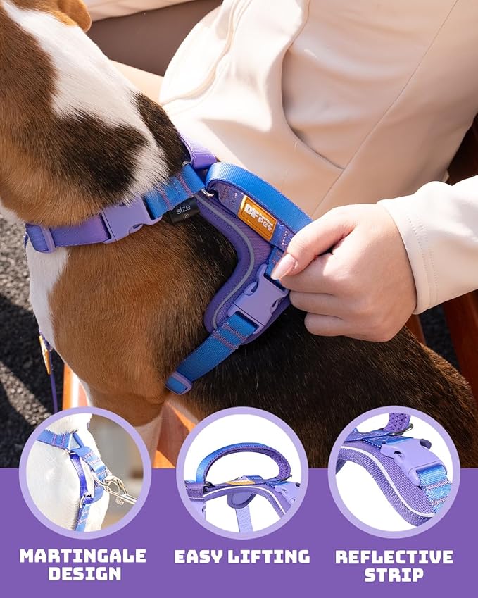 DF Freedom No Pull Martingale Dog Harness and Double-Ended Leash Set, Safety Control to Stop Pulling, Reflective & 5-Point Adjustable, Support Padded Handle, Rainbow Pro, 3/4", Chest 22.4" - 30.4"