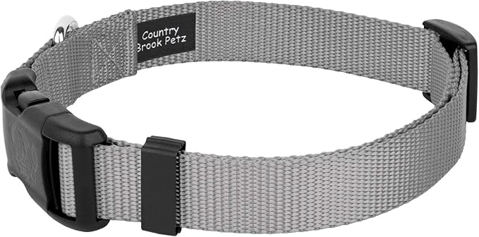 Country Brook Petz - American-Made Dog Collar for Large, Medium, and Small Dogs and Puppies - Deluxe Heavy Duty Nylon in 33 Dazzling Colors (3XS, 3/8 Inch Wide, Silver)