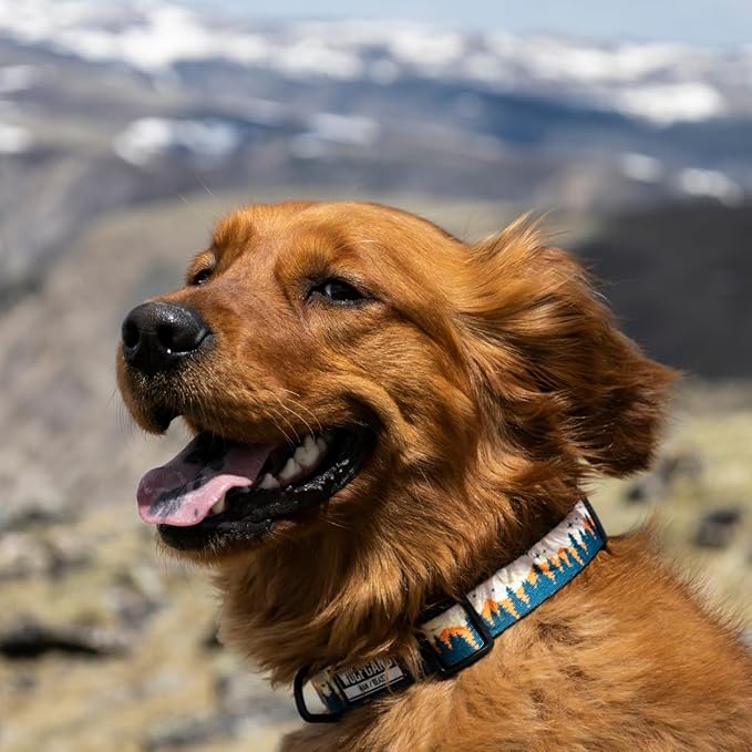 Wolfgang Heavy Duty, Adjustable Dog Collar with Quick Release Nylon Buckle for Walking & Training, Overland Print, Small
