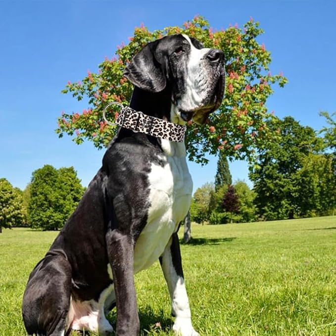 1.5 Inches Martingale Collar for Large Dogs,Wide Adjustable Heavy Duty Training Collars with Leopard Pattern,No Slip Dog Collar Perfect for Training,Walking, Hunting(Leopard L)