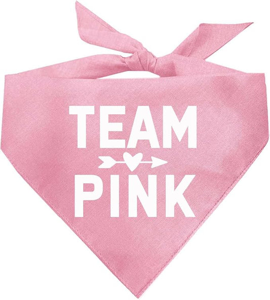 Team Pink | 100% Cotton Adjustable Triangle | Made in USA | Pregnancy Announcement Photoshoot Prop | New Baby | Gender Reveal | Baby Pink X-Small (210)