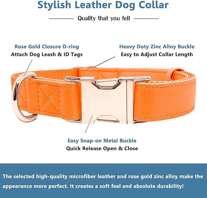 Soft Leather Dog Collar and Leash (6.6') Set - Stylish Rose Gold Heavy Duty Metal Buckle, 4 Adjustable Lengths Leash for Small Medium Large Dogs - Comfortable & Easy to Clean Orange L(15.4"-24.8")