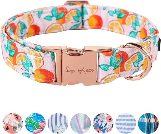 Unique style paws Dog Collar Metal Buckle Orange Collar Gift Durable Cute Collar for Small Medium Large Boys Girls Dogs