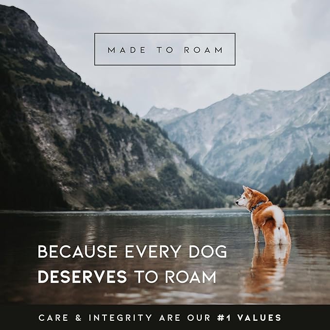 Made to ROAM Premium Dog Collar - Adjustable Heavy Duty Nylon Collar with Quick-Release Metal Buckle (Washington Rain, Classic Size 0)