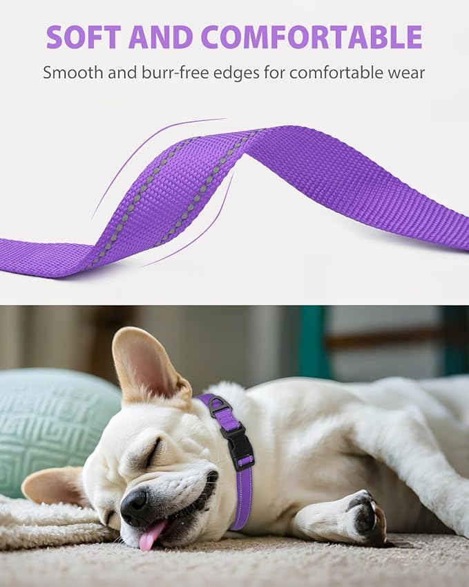 Joytale Small Dog Collar, Reflective and Adjustable Nylon Collar with Quick-Release Buckle, Lightweight No-Choke Design for Small Dogs, Purple, 3/4" Width