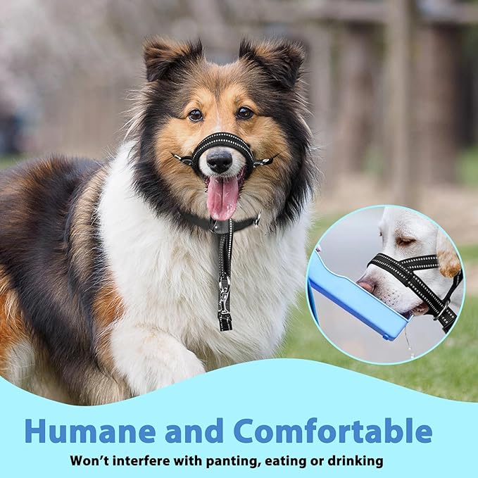 BARKLESS Soft Dog Head Collar, Patented Padded No Pull Head Halter, Training Nose Leash with Safety Link for Medium Large Dogs, Adjustable Muzzle Leash, Easy Control for Walking(Black, M)