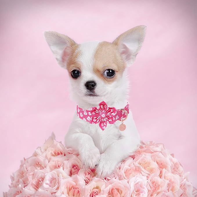 Valentine Dog Collar with Flower, Heart Flower Collar for Puppy Girl Boy Dog or Cat, Comfortable Dog Collar Flower with Durable Metal Buckle, Cute Pet Collar, L