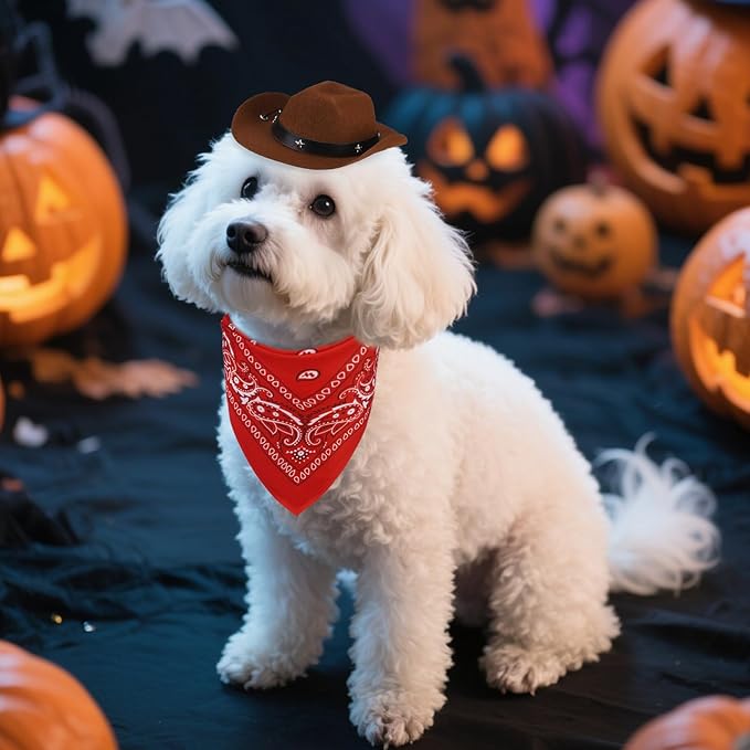 PUPTECK Paisley Dog Bandana Outfit Scarf with Cute Doggy Cowboy Hat, Halloween Costume Decorations Supplies for Small Medium Large Dogs Boy Girl Gifts, Brown & Red