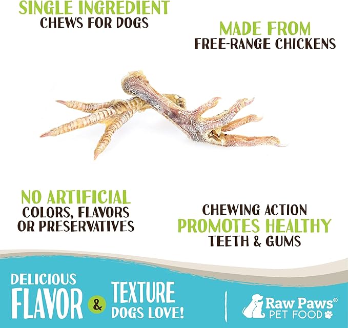 Raw Paws Dried Chicken Feet Dog Treats (10 Count) - Packed in USA - Dehydrated Chicken Feet for Dogs - Natural, Single Ingredient Chews