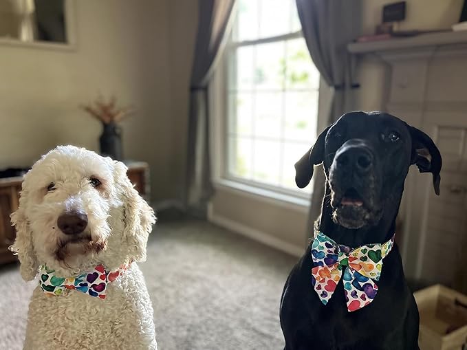 Lionet Paws Valentines Day Dog Collar with Bowtie, Dog Sailor Bow Collar with Metal Buckle for Dogs and Cats, Adjustable Comfortable Dog Collar Girl Gift, XS, Neck 8-12 in