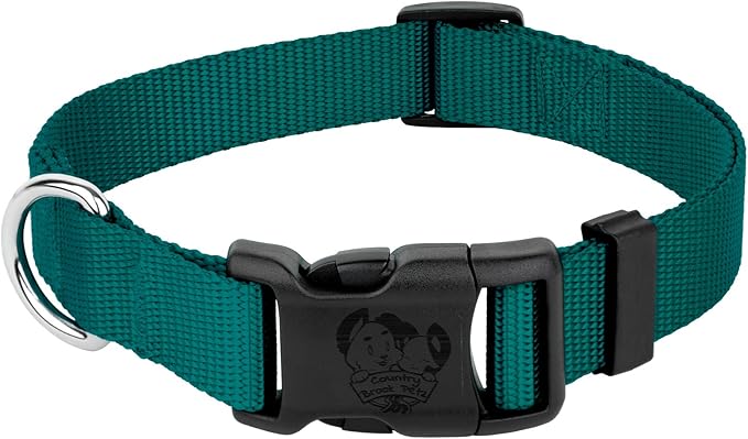 Country Brook Petz - American-Made Dog Collar for Large, Medium, and Small Dogs and Puppies - Deluxe Heavy Duty Nylon in 33 Dazzling Colors (Extra Small, 3/8 Inch Wide, Teal)