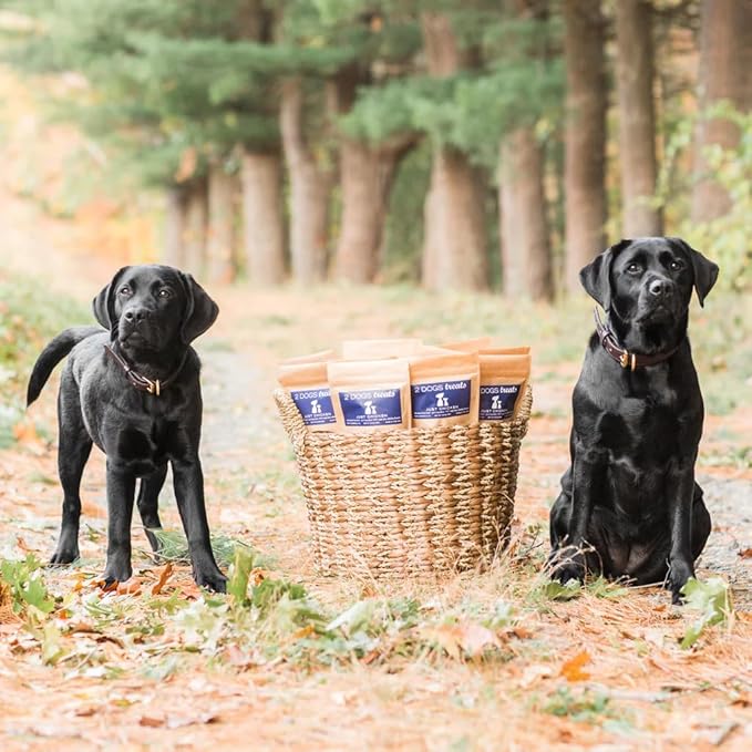 Just Chicken Jerky | 100% USA-Sourced, Single-Ingredient, Great for Sensitive Stomachs, Human-Grade USDA Chicken, Grain-Free, Allergy-Friendly, High Value for Training, Small Batch