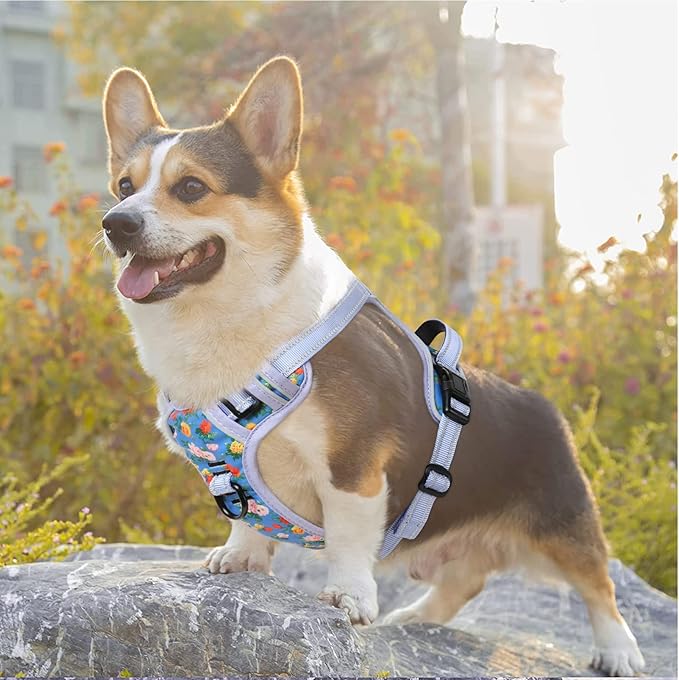 Timos No Pull Dog Harness, Release at Neck Reflective 3 Snap Buckles Adjustable No Choke Pet Vest with Front & Back 2 Leash Clips, Soft Padded Control Training Handle for Small Medium Large Dogs