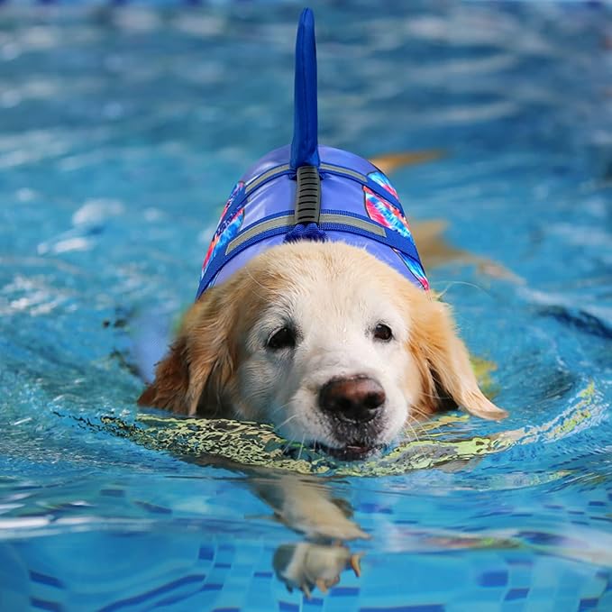 ASENKU Dog Life Jacket, High Grade Polyester Oxford Nylon, Quick Drying, Proper Drainage, Shark Design, for Small Dogs, Blue Bandhnu