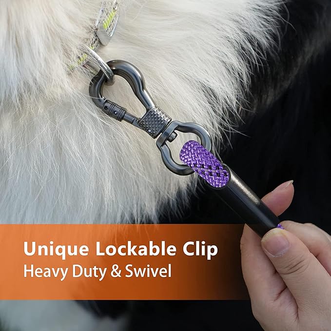 NTR Dog Rope Leash, 30FT Recall Training Lead, with 2 Swivel Hooks, Reflective Threads and Soft Rubber Handle, Puppy Leash for Walking, Hunting, Camping for Small Medium and Large Dogs-Purple