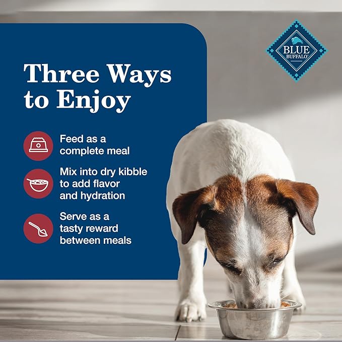 Blue Buffalo Homestyle Recipe Senior Wet Dog Food, Made with Natural Ingredients, Beef Dinner with Garden Vegetables, 12 Pack