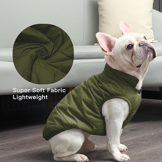 2 Layers Fleece Lined Warm Dog Jacket for Puppy Winter Cold Weather,Soft Windproof Small Dog Coat,Green XS