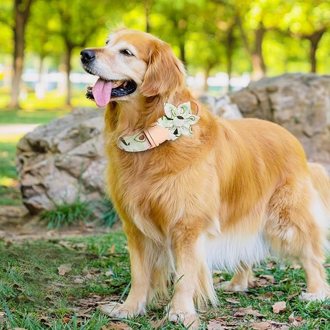 Dog Collar and Leash Set Adjustable Girls Puppy Floral Collars with Bow Tie for Small Medium Large Dogs(M, Avocado)