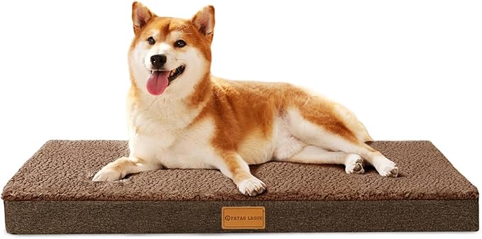 Patas Lague Orthopedic Dog Bed for Medium Dogs, Soft Comfortable Waterproof Egg Crate Foam Medium Pet Beds Mat with Removable Washable Cover, 30''X20'' Brown