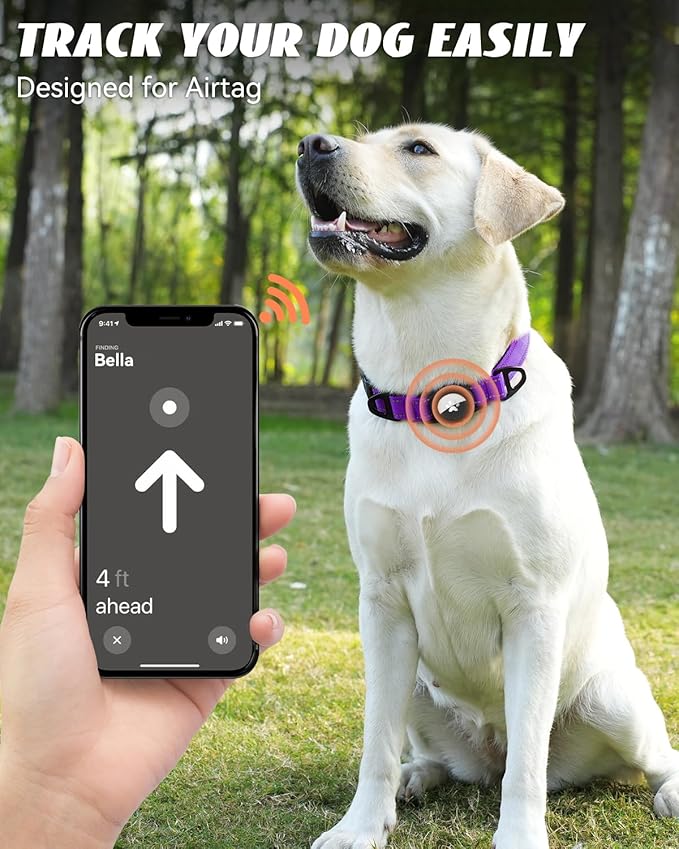 Joytale Airtag Dog Collar, Dual D-Rings, Reflective Pet Collar with Waterproof AirTag Holder, Soft Padded Adjustable for Large Dogs, Purple, L