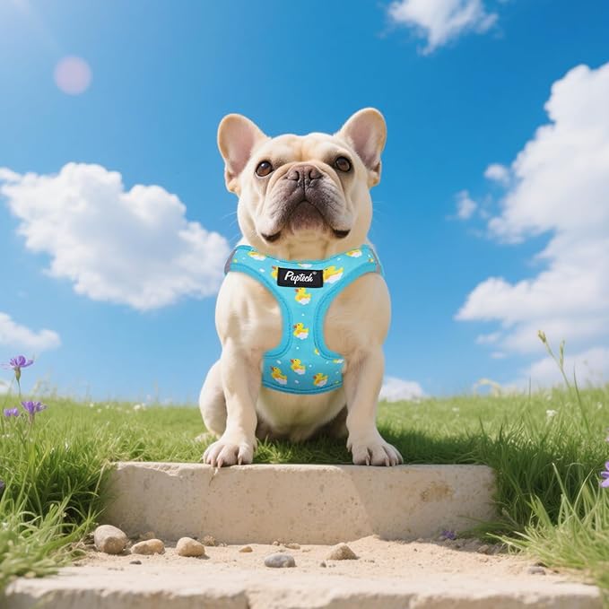 PUPTECK Dog Harness and Leash Set for Small Medium Dogs No Pull Step-in Soft Mesh Puppy Cat Vest Harnesses Reflective at Night, Blue Duck, M