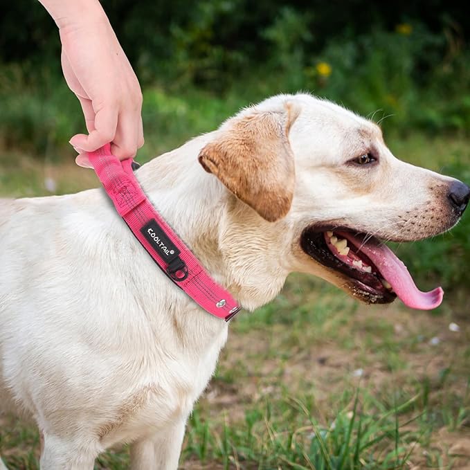 KOOLTAIL Heavy Duty Dog Collar with Handle for Large Dogs, Ballistic Nylon Collar for Training Control, Soft Padded Thick Wide Reflective Dogs Collar with Adjustable Metal Buckle for Walking, Pink S